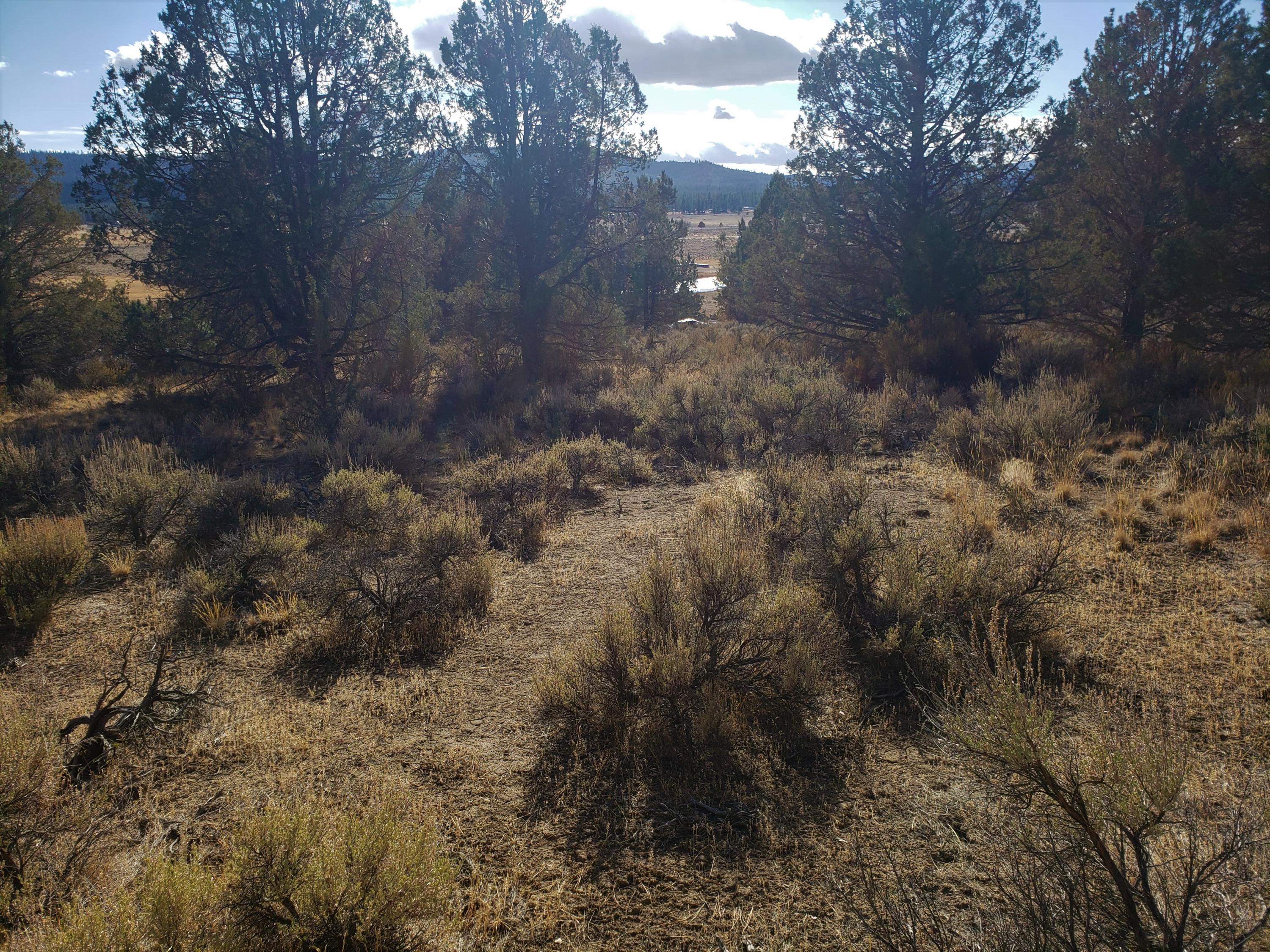 37 Drews Ranch Road Chiloquin, OR 97624 - Photo 16 of 16 20201110_133546