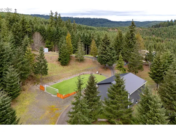 a view of a forest with a street