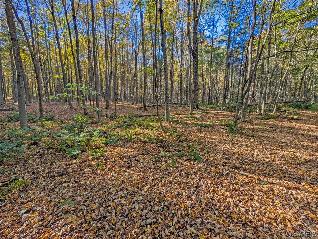0 Pee Dee Road Bliss, NY 14024 - Photo 15 of 21
