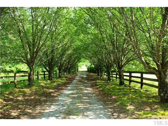 1385 Chatham Church Road Moncure, NC 27559 - Photo 3 of 25 Gallery Image 3