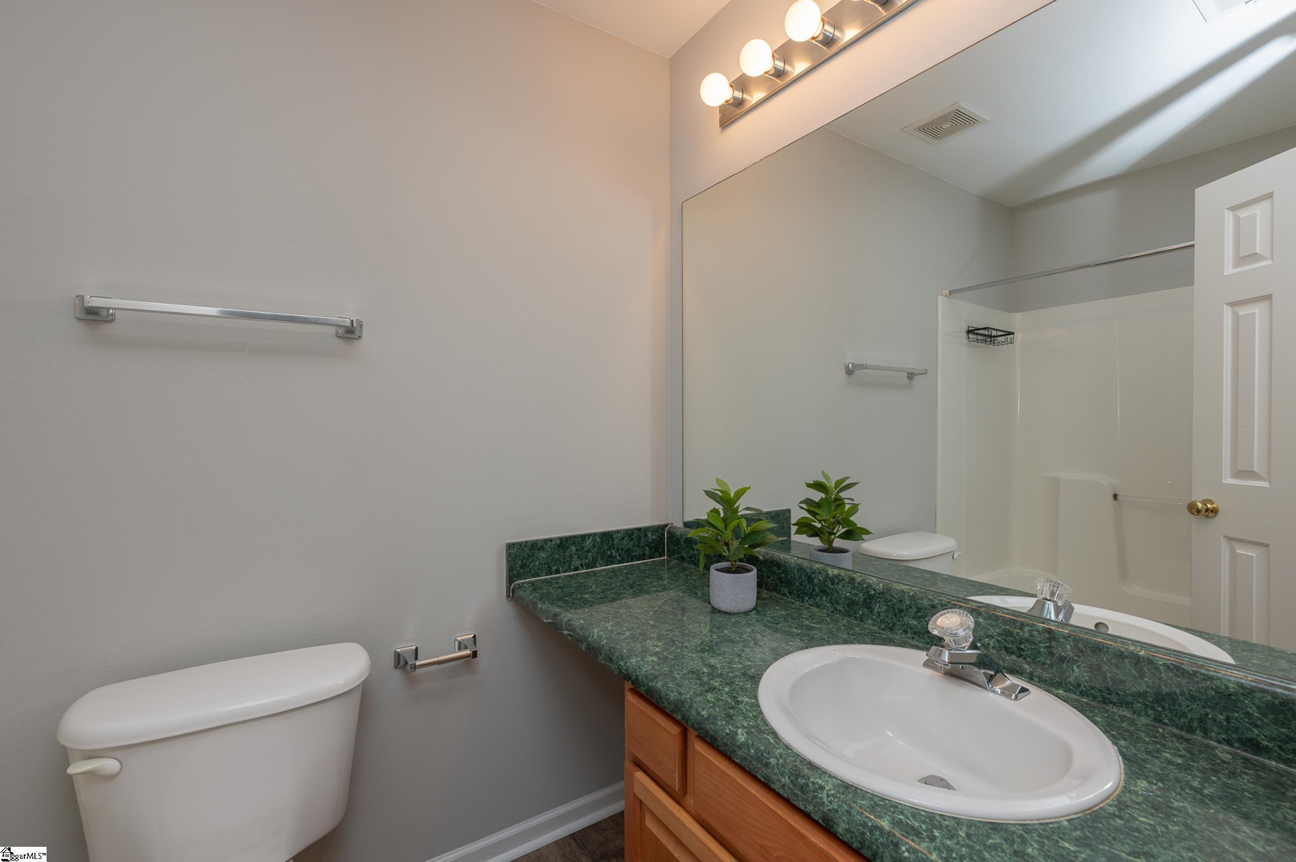 11 Seaside Lane Greer, SC 29650 - Photo 17 of 28