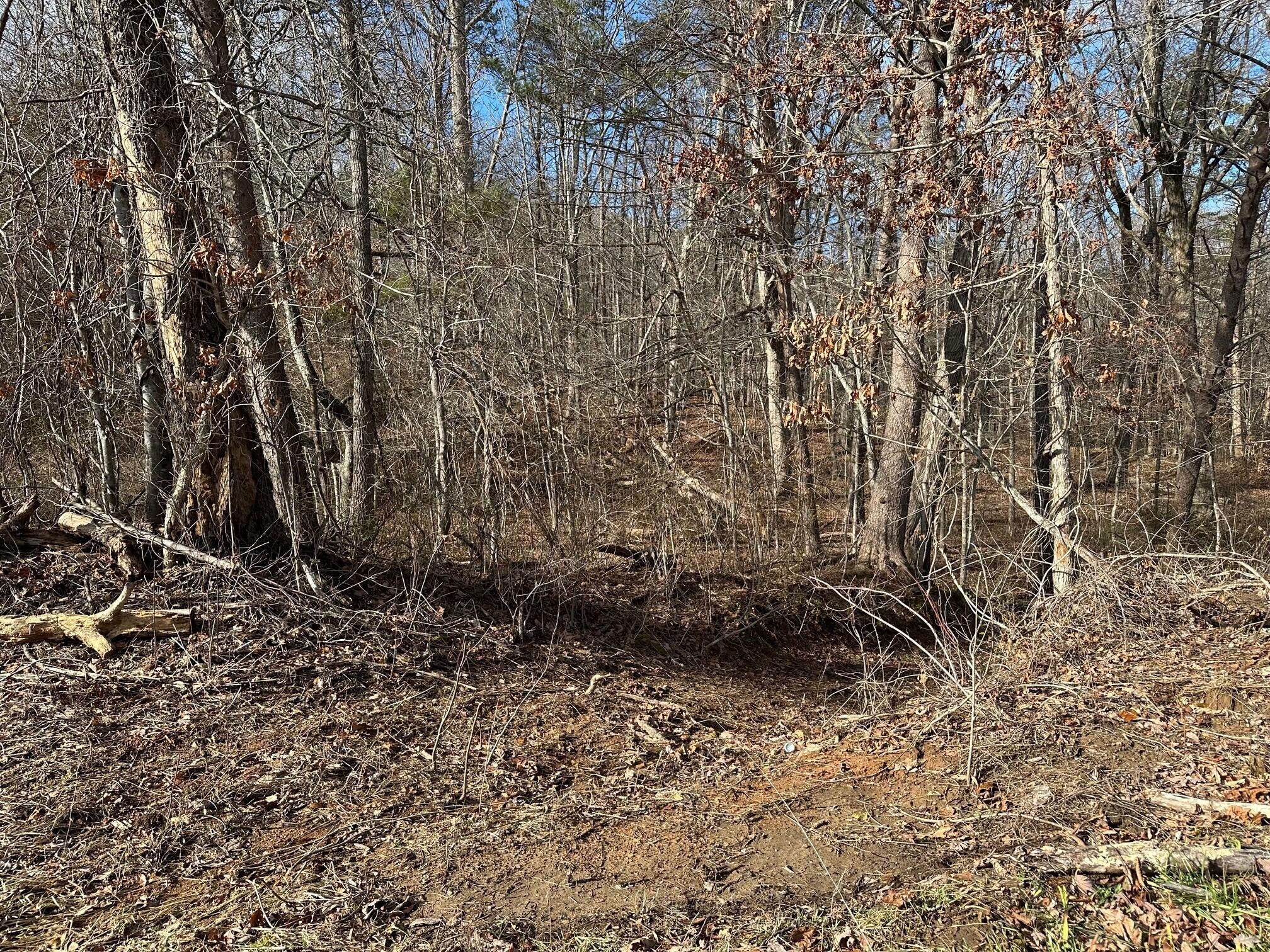 18 Pocket Road Whitwell, TN 37397 - Photo 2 of 5 Gallery Image 2