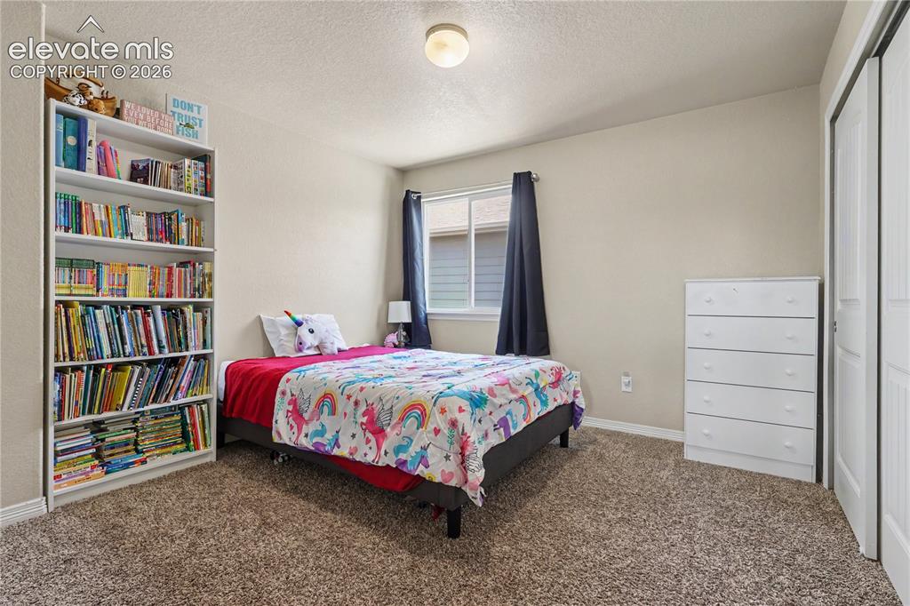 6598 Alliance Loop Colorado Springs, CO 80925 - Photo 25 of 39 Neutral wall paint, textured ceiling, and brown carpet flooring