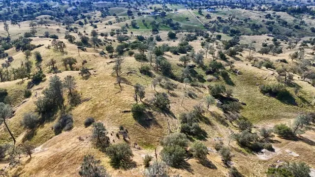 a view of a dry yard
