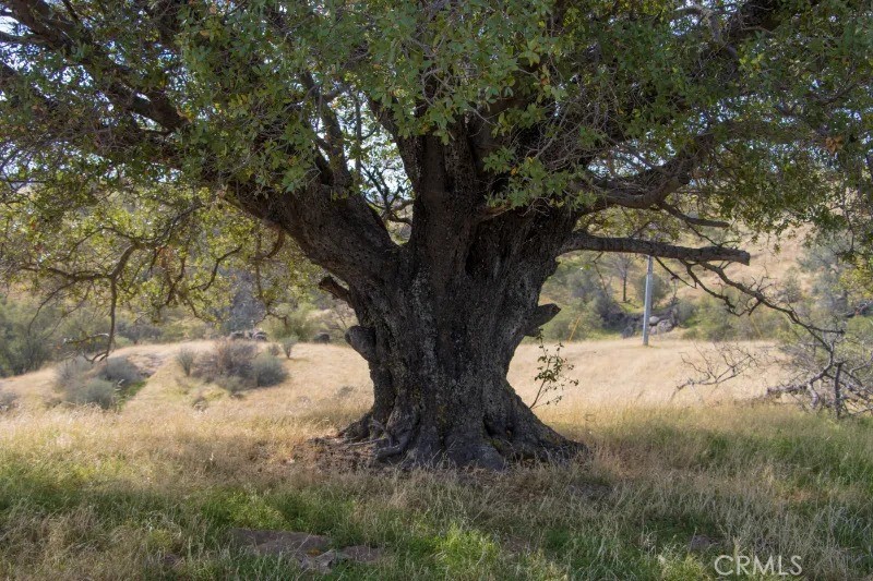 0 Millstream Madera, CA 93636 - Photo 17 of 43 a view of white house next to a large tree