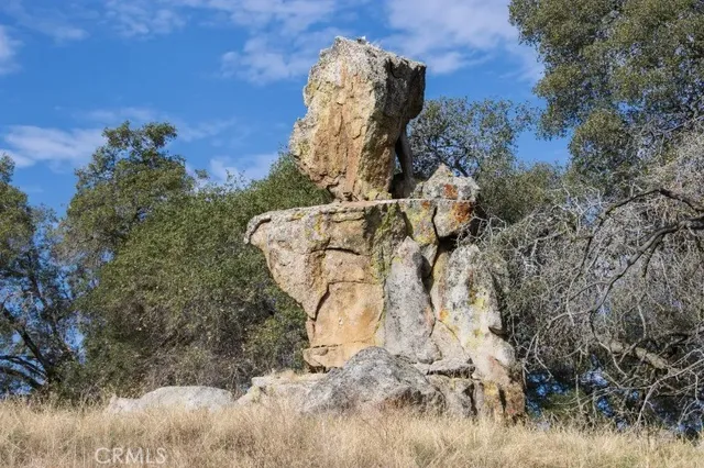 a view of statue in a forest