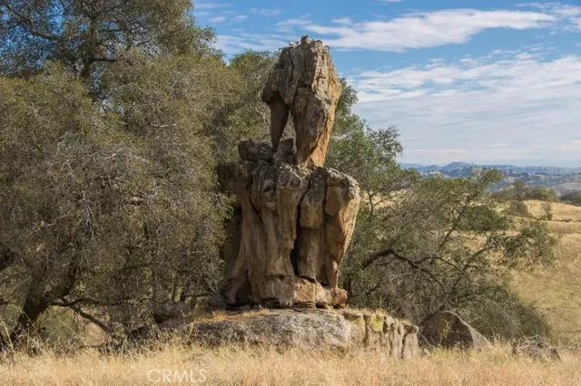 a view of a yard with trees