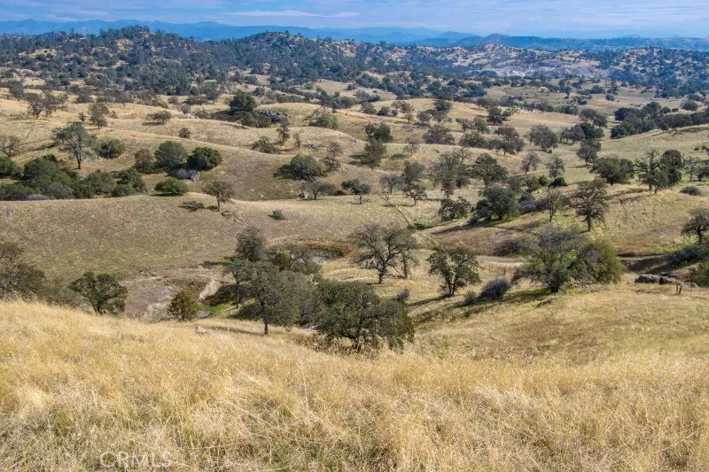 0 Millstream Madera, CA 93636 - Photo 24 of 43 an aerial view of residential houses with outdoor space and trees