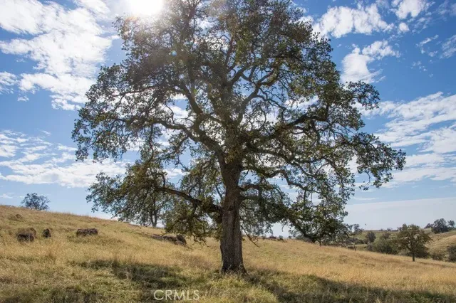 a view of a field with trees in background