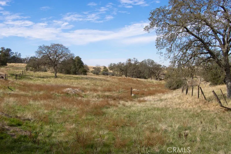 0 Millstream Madera, CA 93636 - Photo 28 of 43 a view of a field with trees in background