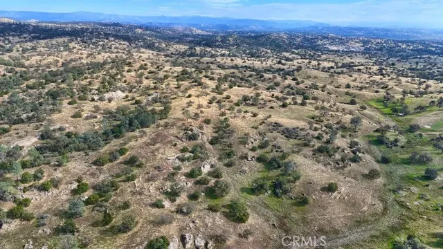 a view of a yard with trees
