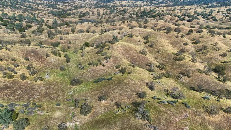 0 Millstream Madera, CA 93636 - Photo 42 of 43 a view of a yard