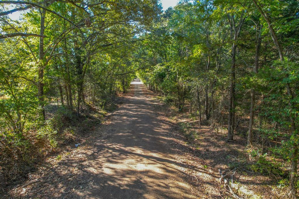 0 County Road 3409 Chandler, TX 75758 - Photo 33 of 38