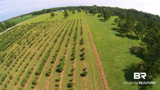 27608 County Road 65 Loxley, AL 36551 - Photo 4 of 32 North of the crop land is pasture and woodland fronting on Co Rd 65 and ideal for homesites.