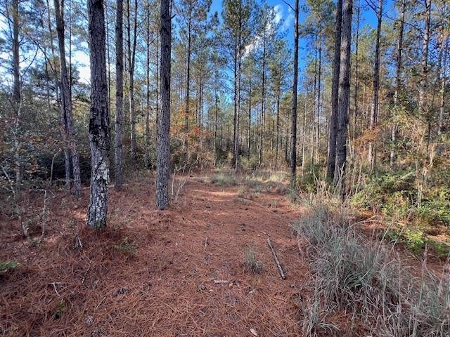 25-ac Smyrna Road Florala, AL 36442 - Photo 1 of 36 Gallery Image 1