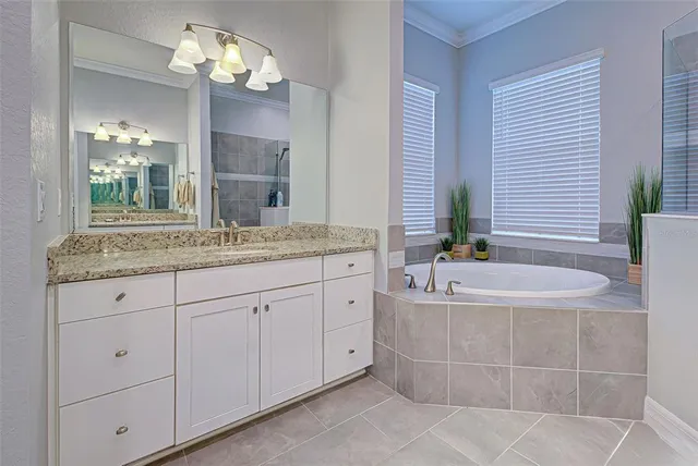 a bathroom with a granite countertop sink a large mirror and a bathtub