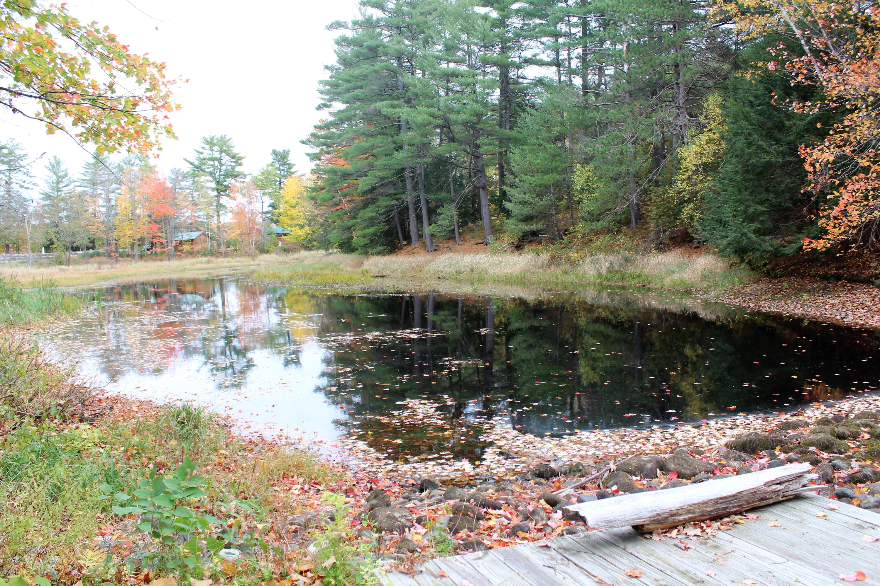 1612 Federal Road Livermore, ME 04253 - Photo 51 of 76 50. Beautiful Views and Access to Brettu