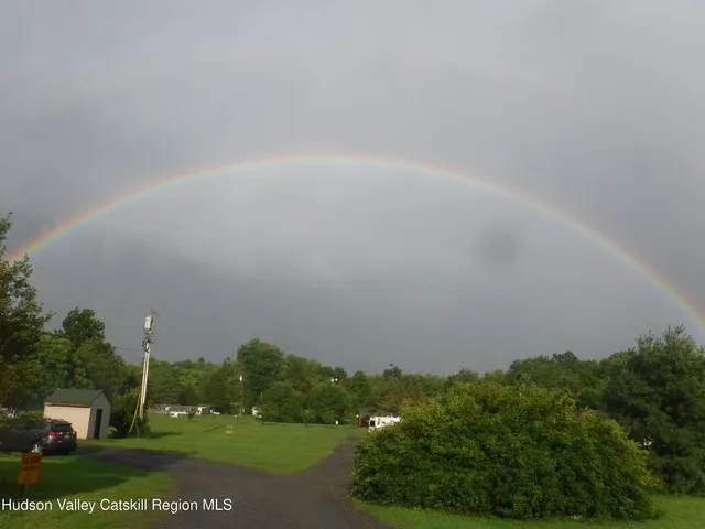 a view of house with backyard and garden