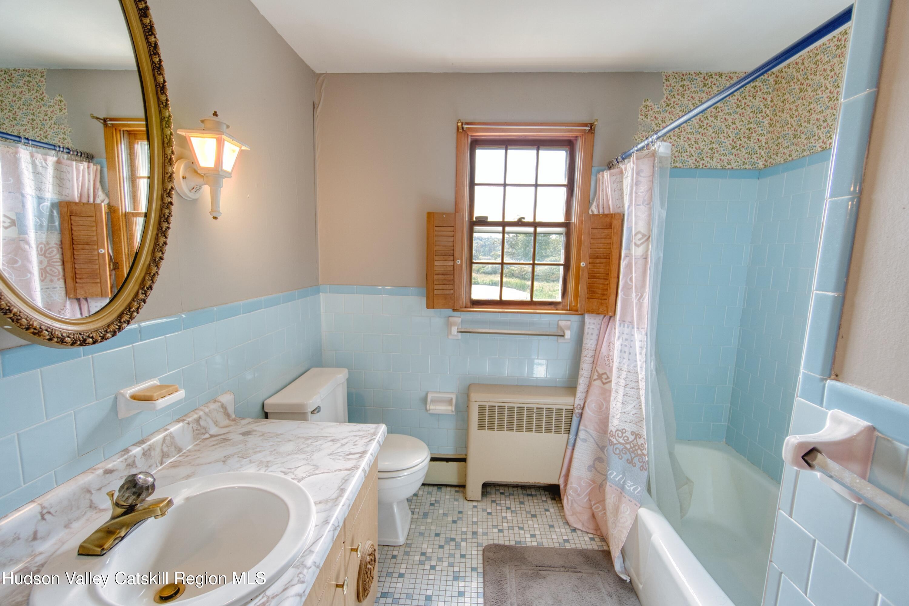 315 Pine Bush Road Stone Ridge, NY 12484 - Photo 27 of 30 a bathroom with a sink a toilet and a mirror