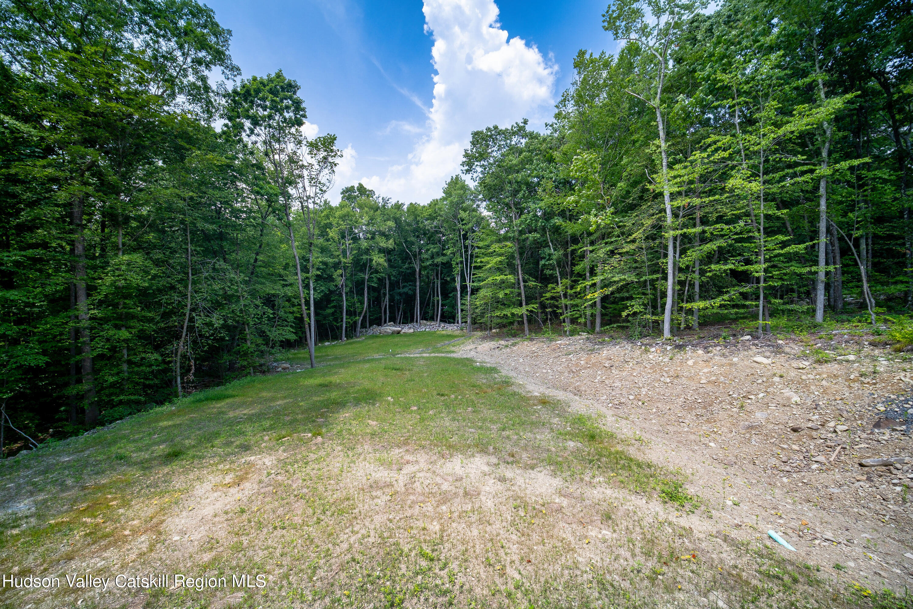 3 Calico Way, Unit WAYS Wallkill, NY 12589 - Photo 65 of 68 a view of a yard with a trees