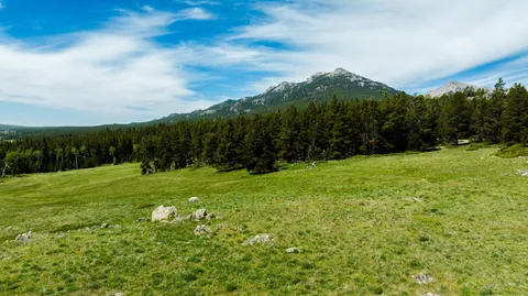 $5,750,000 | Hazelton Road, Buffalo, WY 82834