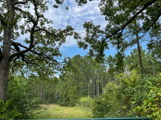 a backyard of a building with lots of green space and trees
