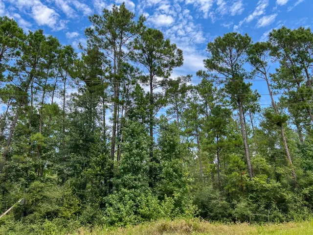 $731,500 | 30 Meshell Road, Trinity, TX 75862