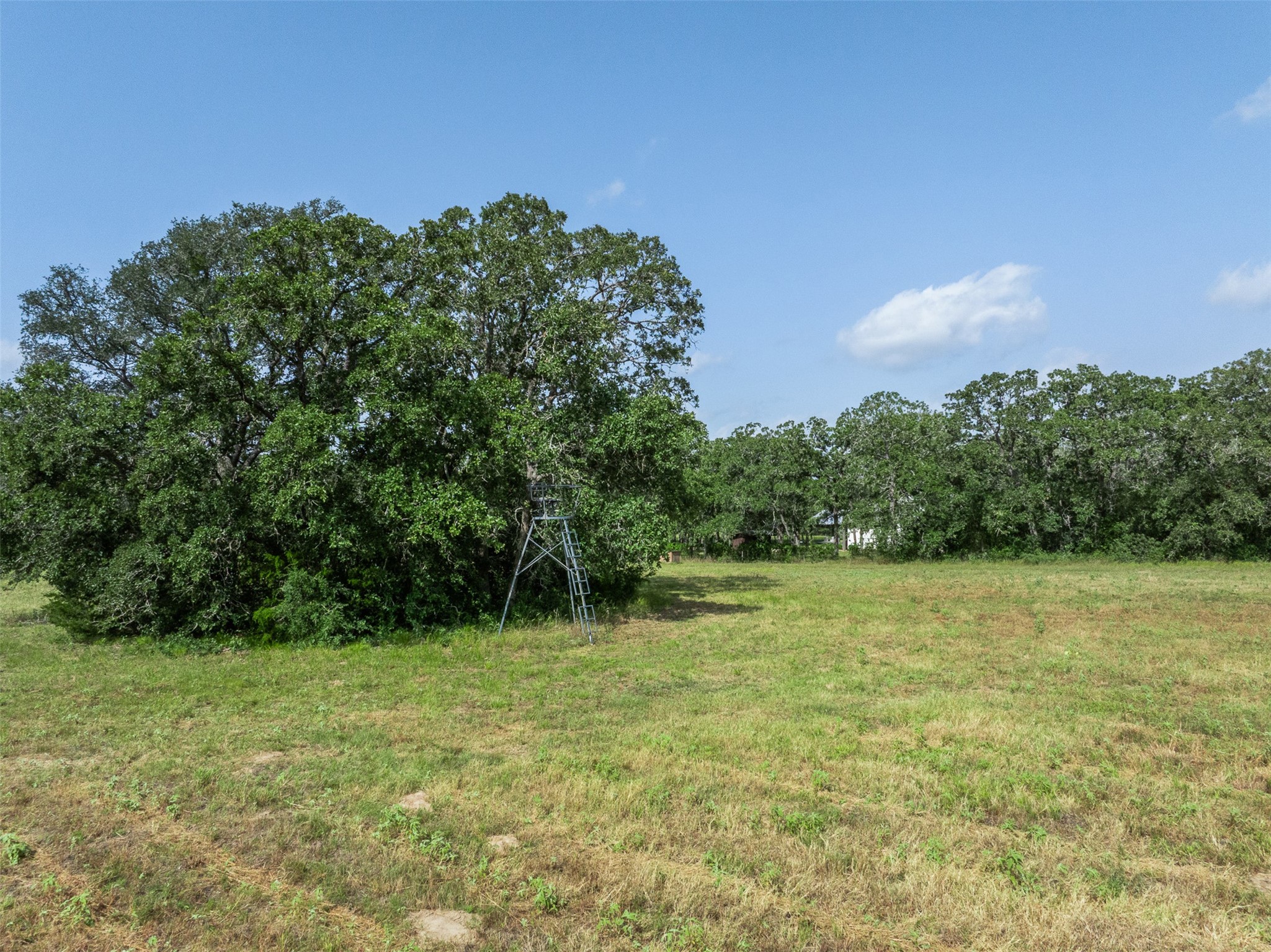 6811 Mockingbird Road Flatonia, TX 78941 - Photo 30 of 44 Fenced pasture