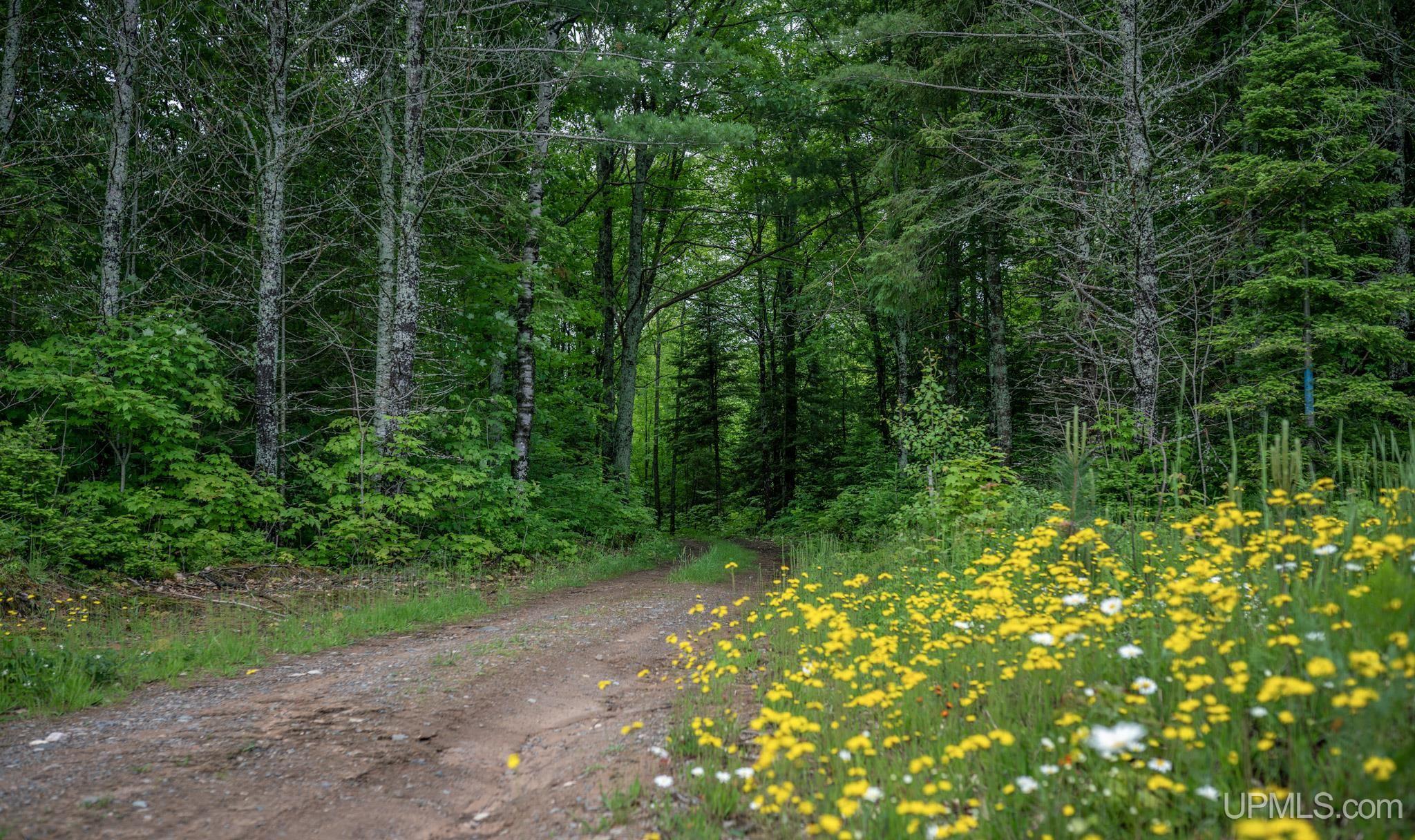 Tbd Tbd County Road Ishpeming, MI 49849 - Photo 4 of 24