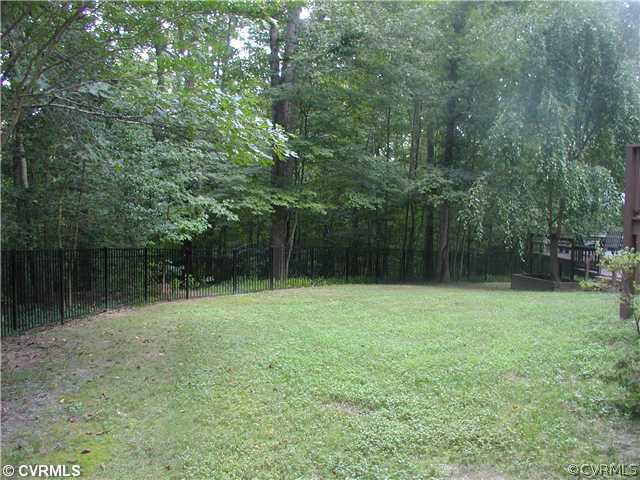 7249 Beach Road Chesterfield, VA 23838 - Photo 8 of 9 Yard/Garden