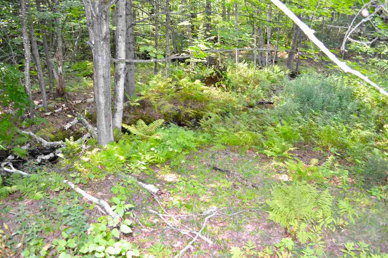 144 Manlin Road Fayston, VT 05673 - Photo 14 of 14 Gallery Image 14