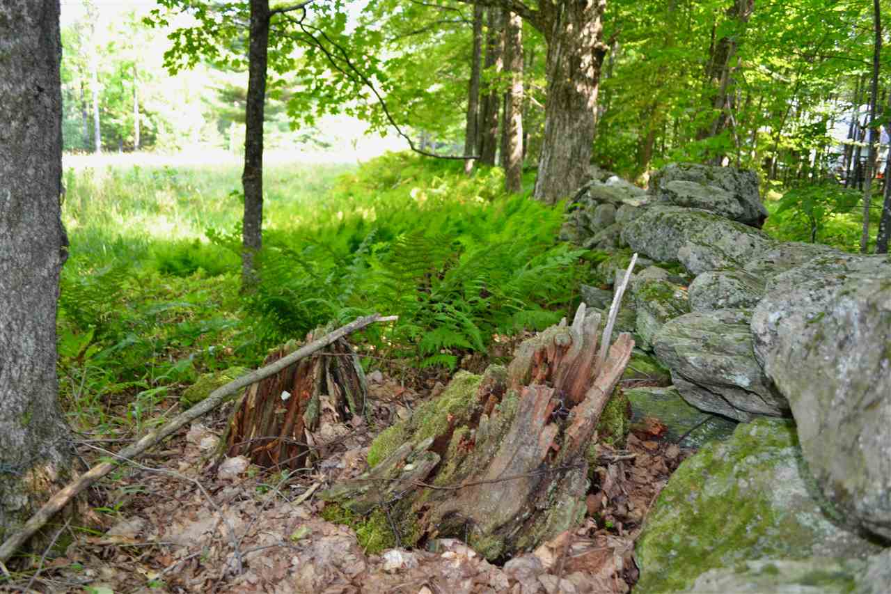 144 Manlin Road Fayston, VT 05673 - Photo 5 of 14 Gallery Image 5