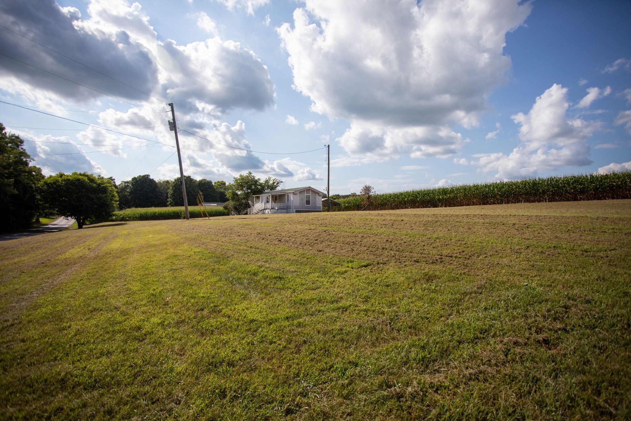 6056 South Lamont Road Springfield, TN 37172 - Photo 3 of 20 Gallery Image 3