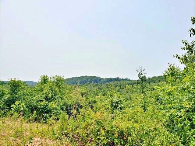 169 County Road 188 Decatur, TN 37322 - Photo 7 of 24