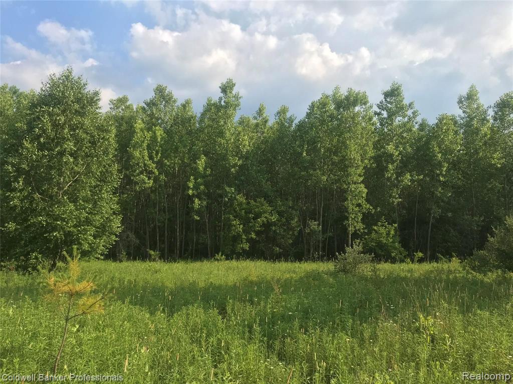 21 Hosner Road Oxford, MI 48371 - Photo 2 of 6