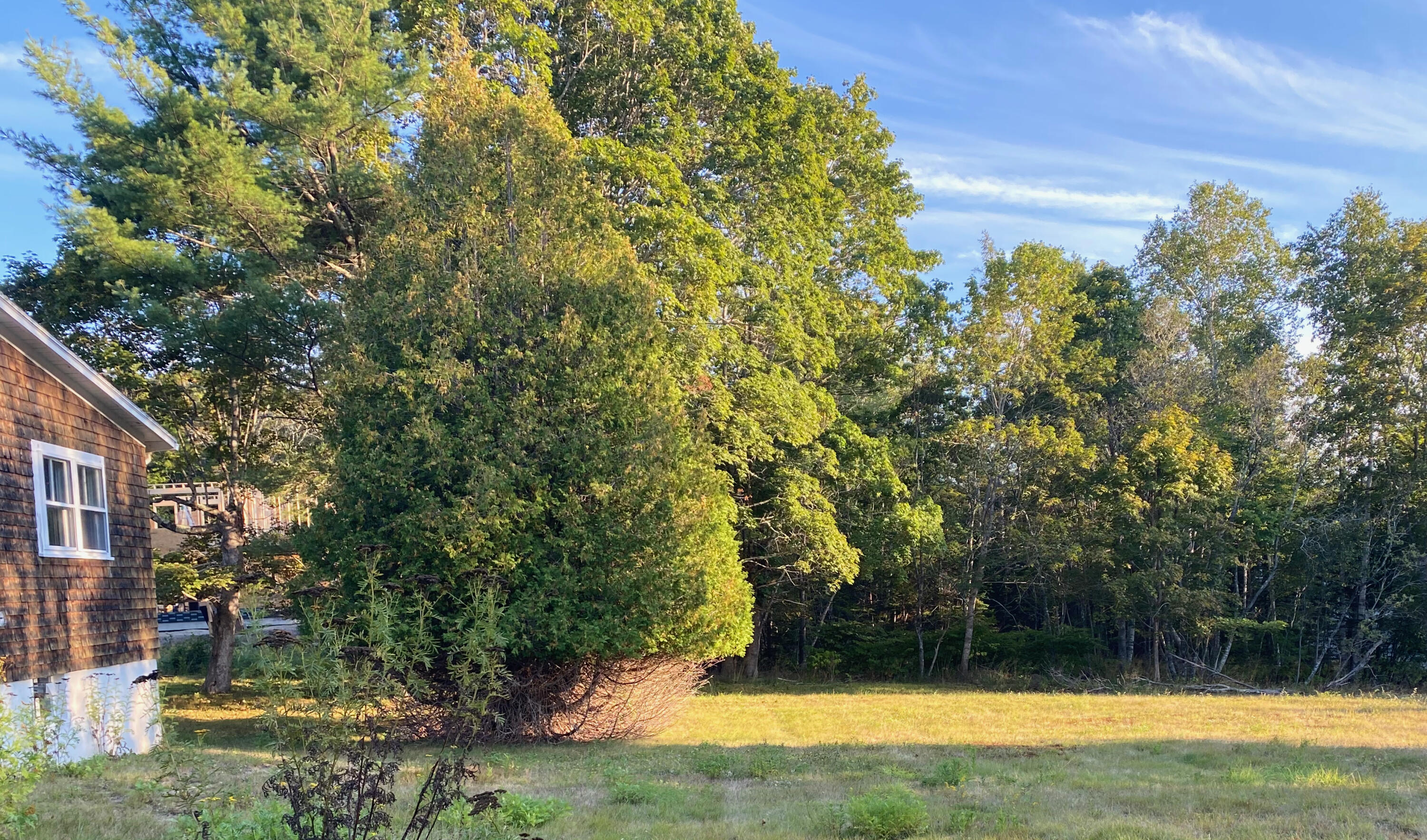 16 Sinclair Road Mount Desert, ME 04662 - Photo 2 of 2 Sinclair Field