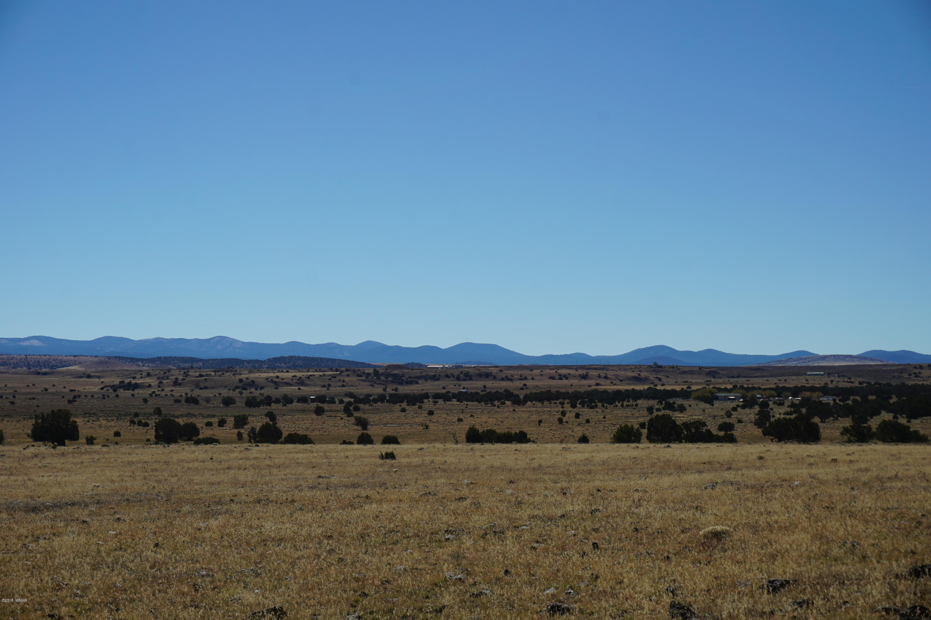 Lot 2 Cedar Road Concho, AZ 85924 - Photo 2 of 5