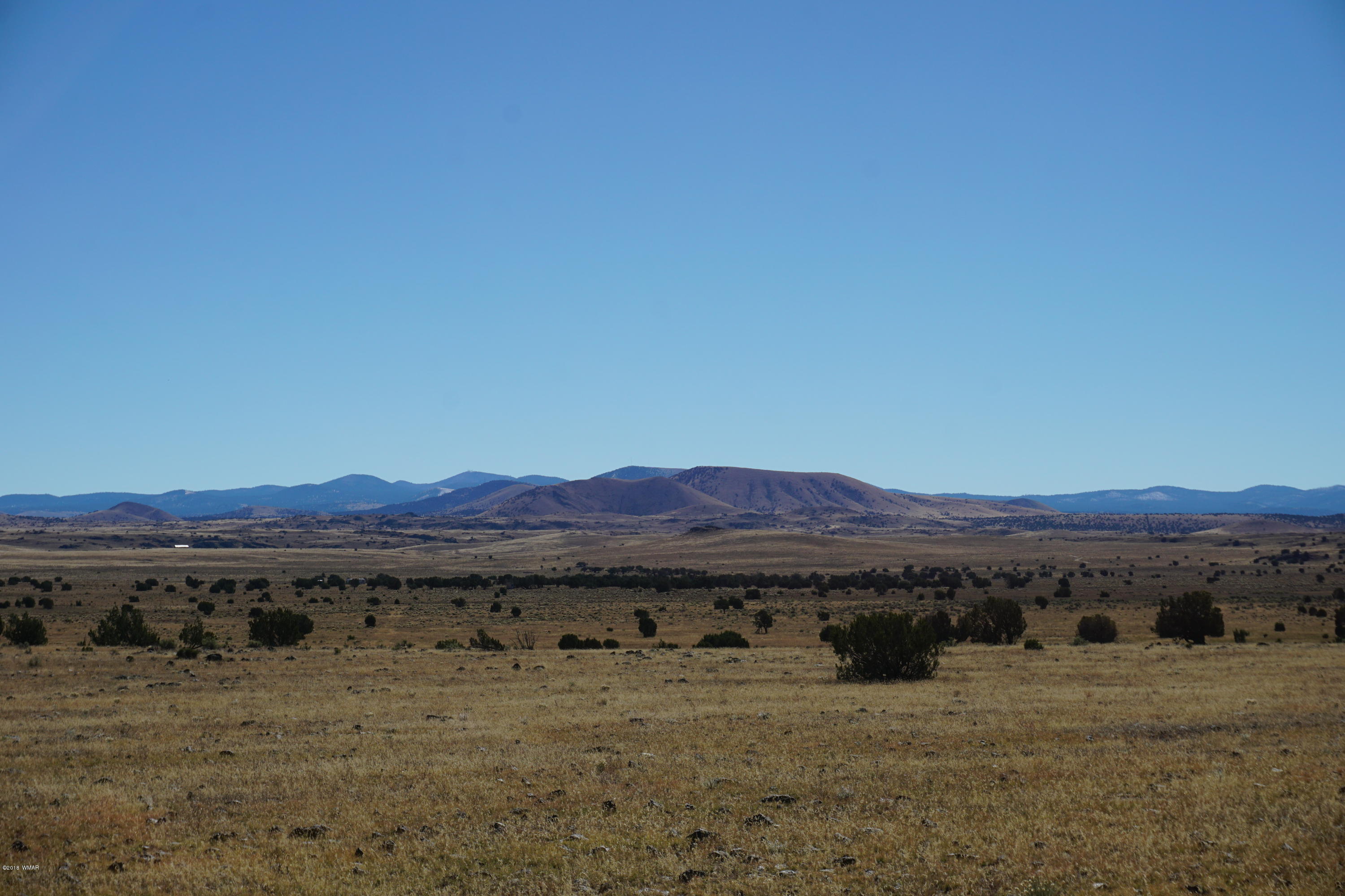 Lot 2 Cedar Road Concho, AZ 85924 - Photo 3 of 5
