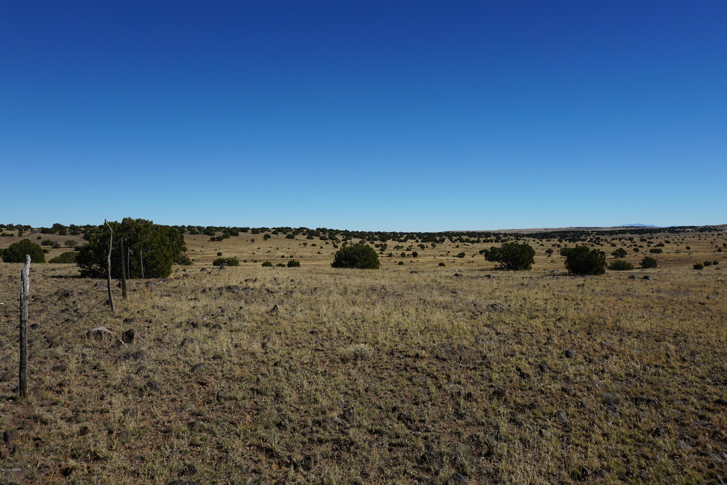 Lot 2 Cedar Road Concho, AZ 85924 - Photo 4 of 5