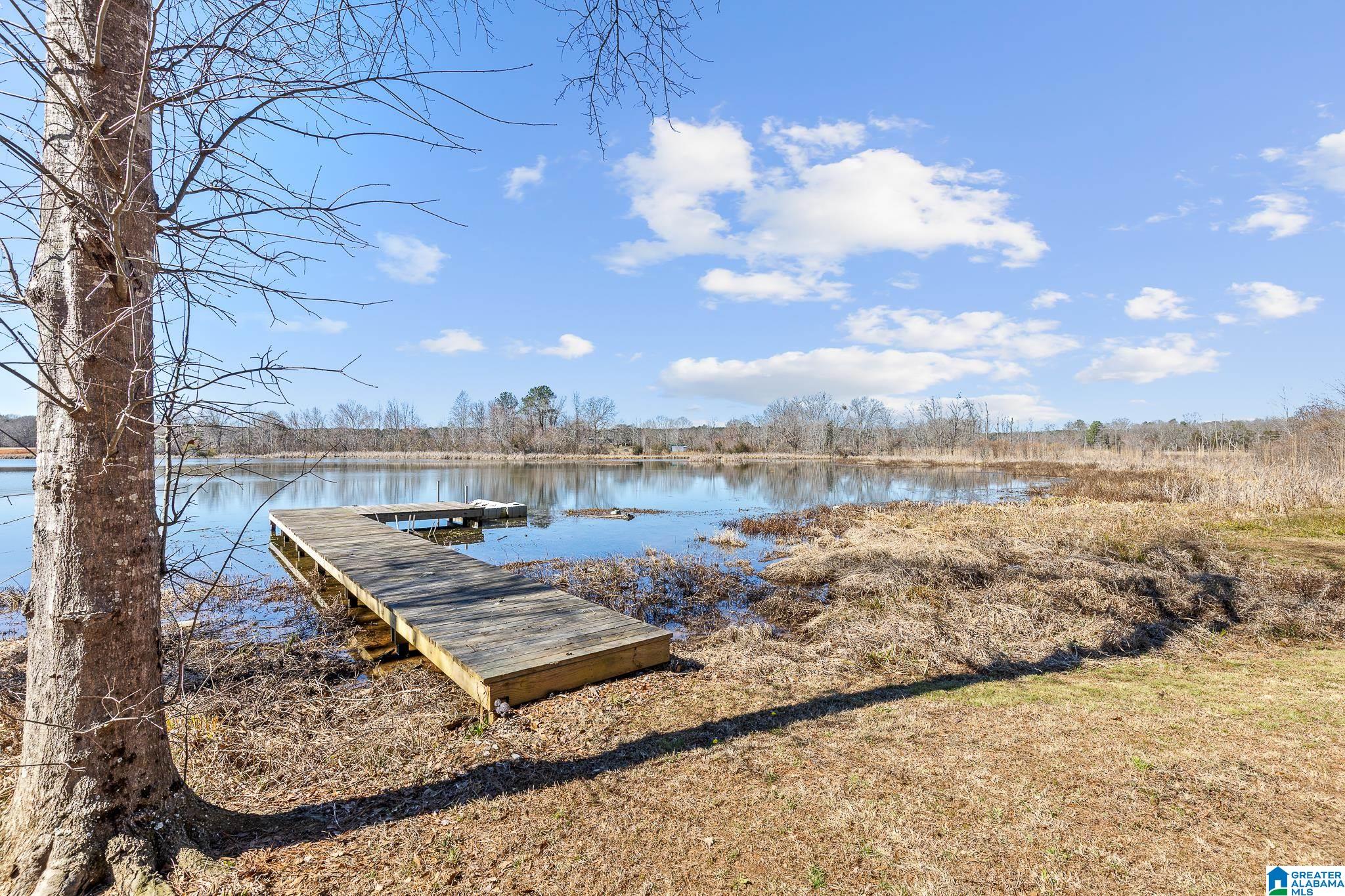 825 Cove Road Sylacauga, AL 35151 - Photo 41 of 53