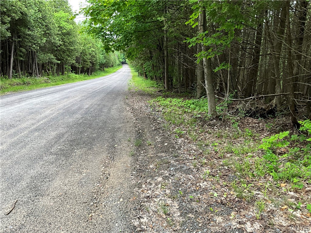 0 County Rte 35 Canton, NY 13617 - Photo 10 of 33