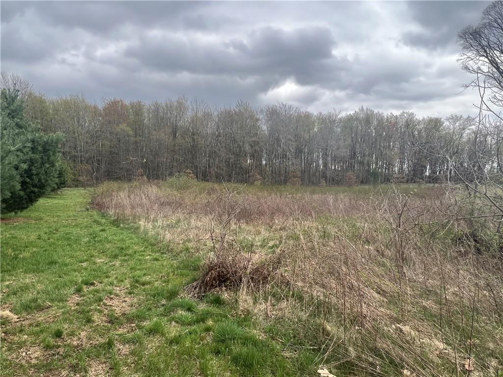 Lot #4 Dutch Ridge Beaver, PA 15009 - Photo 5 of 10 a view of a big yard with lots of green space