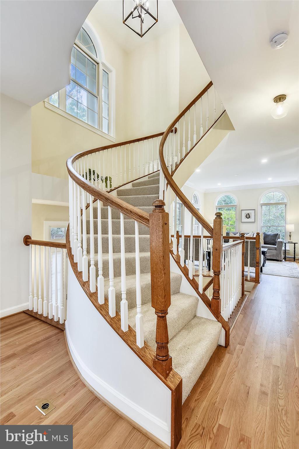 134 Rees Place Falls Church, VA 22046 - Photo 11 of 117