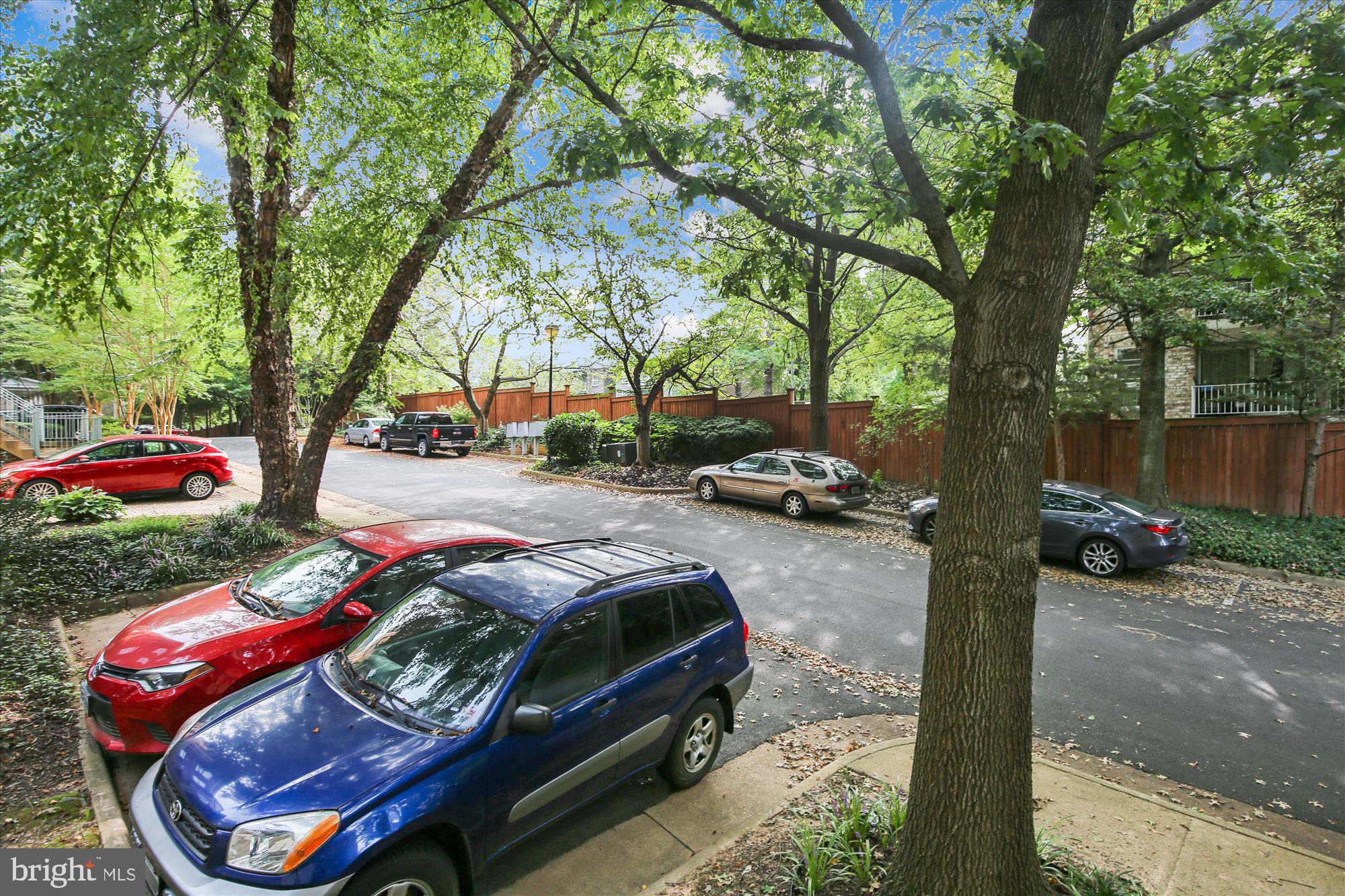 134 Rees Place Falls Church, VA 22046 - Photo 115 of 117