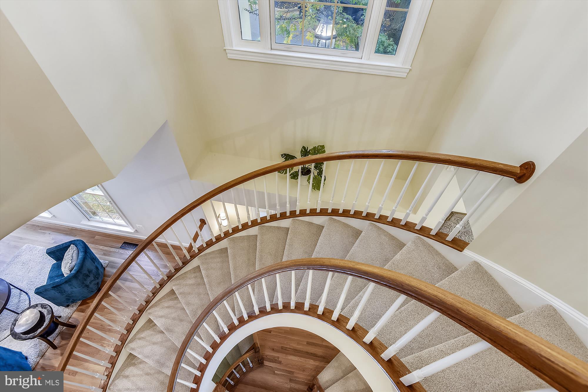 134 Rees Place Falls Church, VA 22046 - Photo 39 of 117