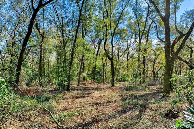 a view of outdoor space with deck and yard