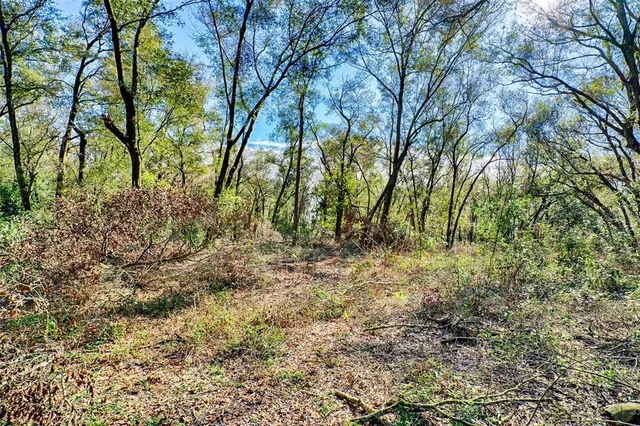 a view of a yard with large trees