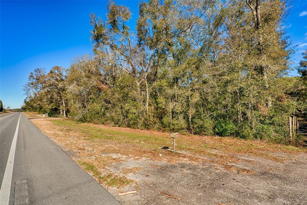 300 South Us Highway Bell, FL 32619 - Photo 28 of 47 a view of a backyard of the house