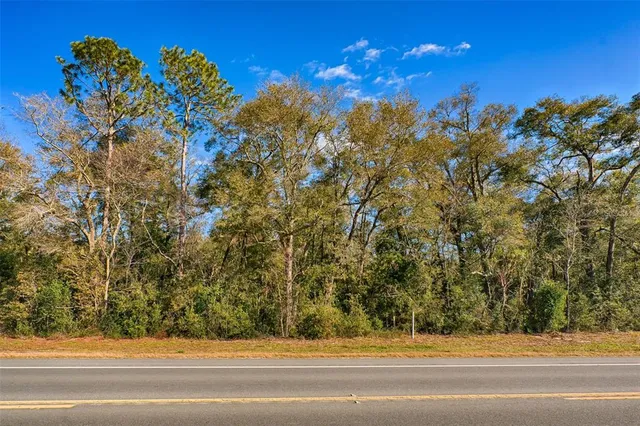 a view of a small house with a tree back yard