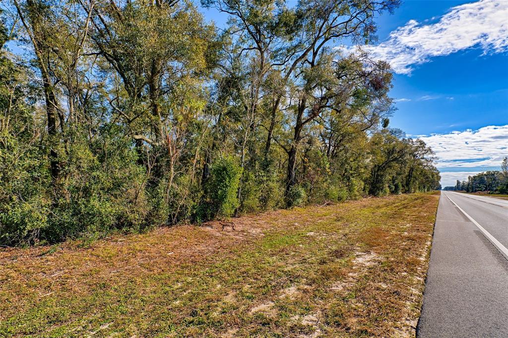 300 South Us Highway Bell, FL 32619 - Photo 30 of 47 a view of a yard with a tree